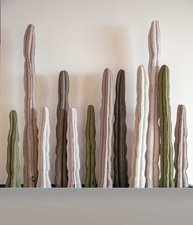 Cactus XL